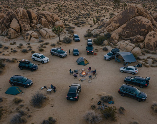 A group of people listened to the car as a circle and played around the campfire